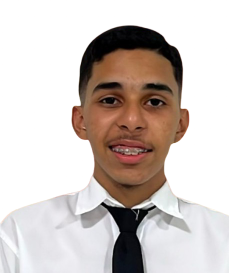 Pedro Arthur Moura Santos